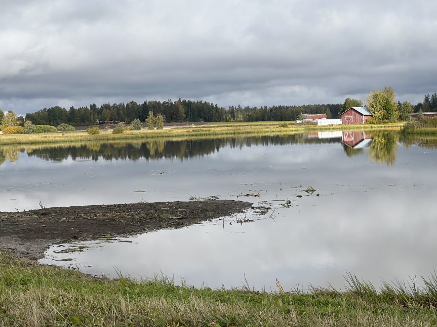 Apuksen kevätkeräys