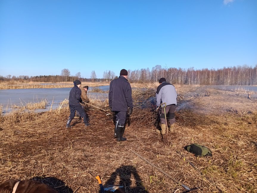 Rantamossa kunnostettiin saaria kaksissa talkoissa maaliskuun alussa